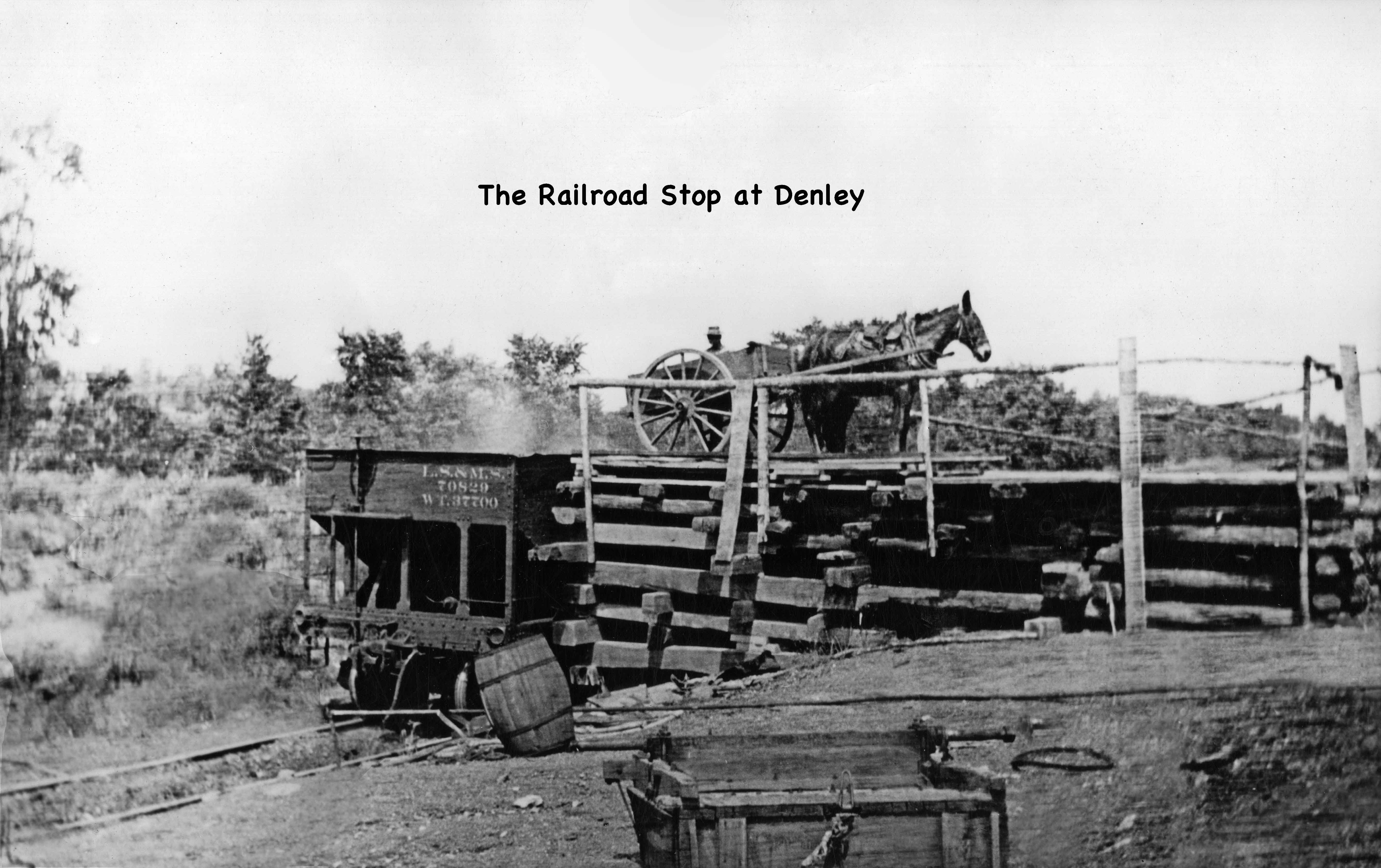 Denly  Mule Cart